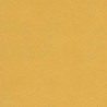 Chamois Gold