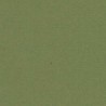 Mousse verte